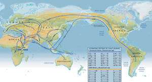 Human Migration Map Courtesy of Harvard