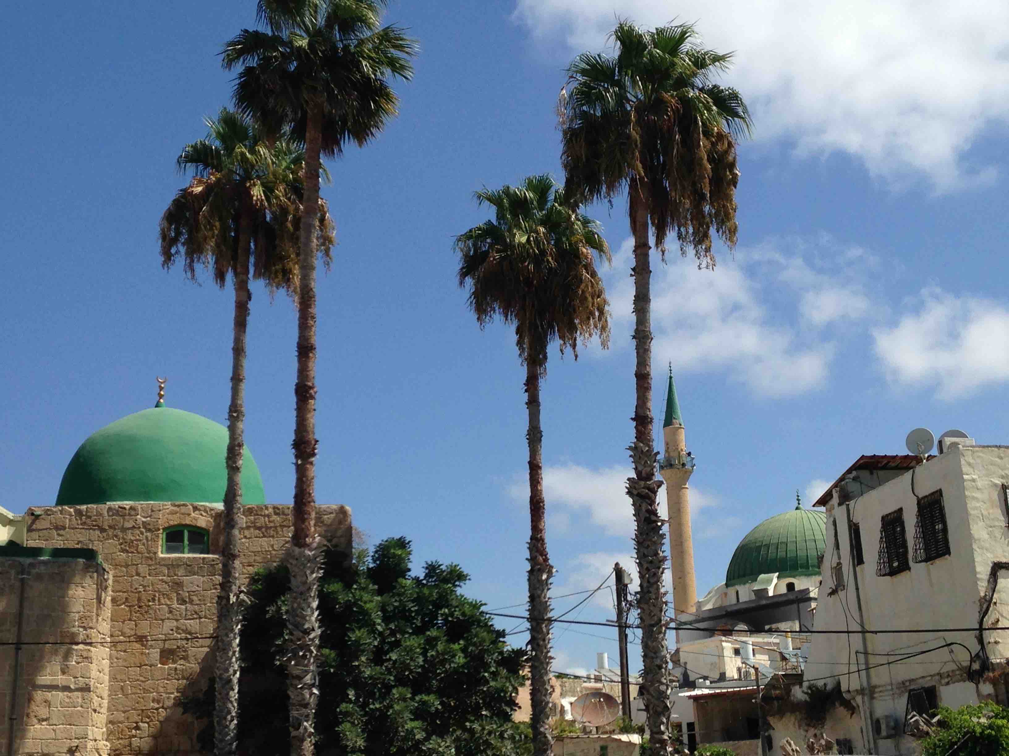 Akko_Minaret_Mosque_Palms_2935_LO
